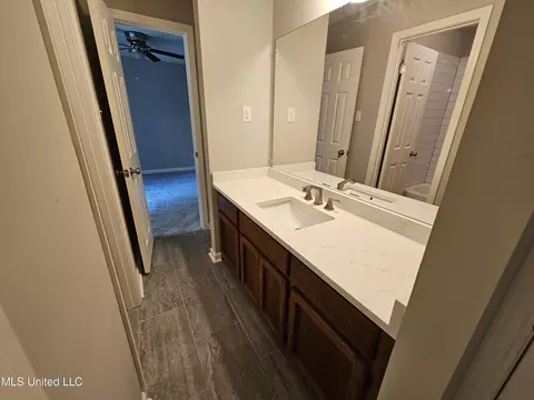 Bath - 3670 Windermere Dr S, Nesbit, MS 38651 photo 3 of 5