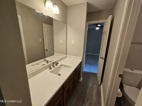 Bath - 3670 Windermere Dr S, Nesbit, MS 38651 photo 4 of 5