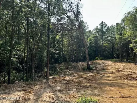 13991 Davenport Rd, Byhalia, MS 38611