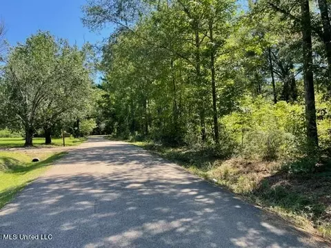 212 Deer Ridge Rd, Brandon, MS 39042 photo 1
