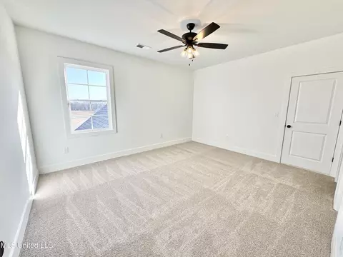 Other - 5239 Reserve Way, Hernando, MS 38632 photo 42 of 49