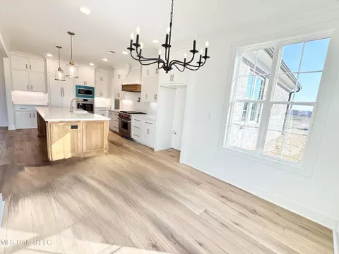 Other - 5239 Reserve Way, Hernando, MS 38632 photo 17 of 49
