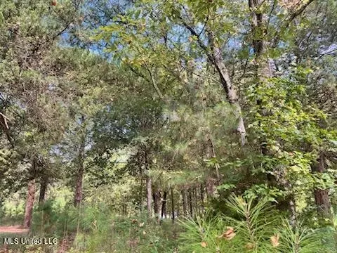 1663 Mallard Point Rd, Batesville, MS 38606 photo 12