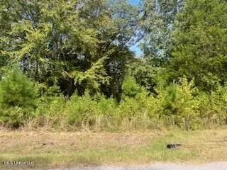 1663 Mallard Point Rd, Batesville, MS 38606 photo 2
