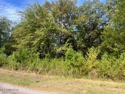 1663 Mallard Point Rd, Batesville, MS 38606 photo 3
