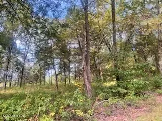 1663 Mallard Point Rd, Batesville, MS 38606 photo 9