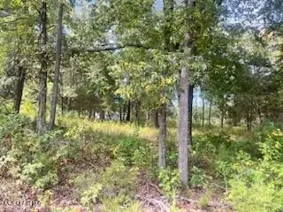1663 Mallard Point Rd, Batesville, MS 38606 photo 6