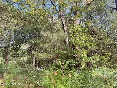 1663 Mallard Point Rd, Batesville, MS 38606 photo 11