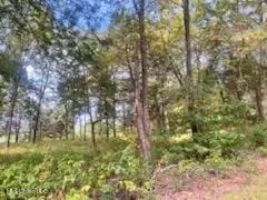 1663 Mallard Point Rd, Batesville, MS 38606 photo 8