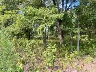 1663 Mallard Point Rd, Batesville, MS 38606 photo 5