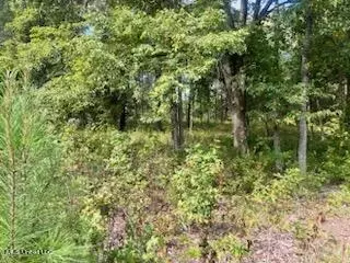 1663 Mallard Point Rd, Batesville, MS 38606 photo 4