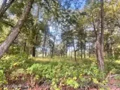 1663 Mallard Point Rd, Batesville, MS 38606 photo 7