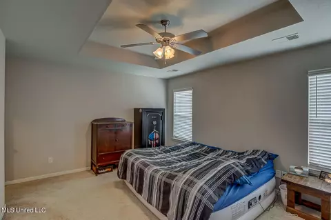 221 Magnolia Gardens Dr, Hernando, MS 38632 photo 13