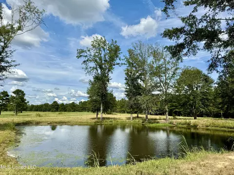 651 Petrified Forest Rd, Flora, MS 39071 photo 15