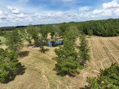 651 Petrified Forest Rd, Flora, MS 39071 photo 12