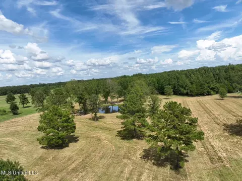 651 Petrified Forest Rd, Flora, MS 39071 photo 6