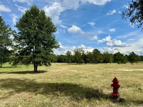 651 Petrified Forest Rd, Flora, MS 39071 photo 5