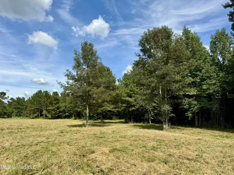 651 Petrified Forest Rd, Flora, MS 39071 photo 19