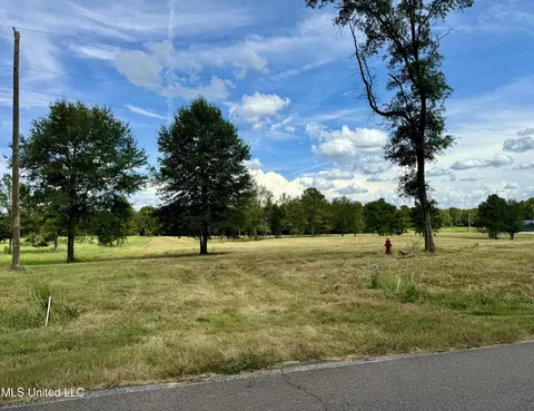 651 Petrified Forest Rd, Flora, MS 39071 photo 13