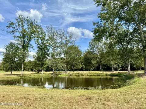 651 Petrified Forest Rd, Flora, MS 39071 photo 2