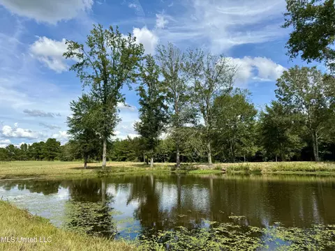 651 Petrified Forest Rd, Flora, MS 39071 photo 10