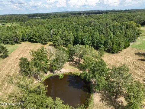 651 Petrified Forest Rd, Flora, MS 39071 photo 23