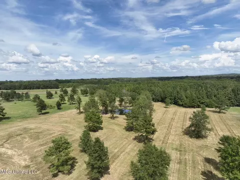 651 Petrified Forest Rd, Flora, MS 39071 photo 3