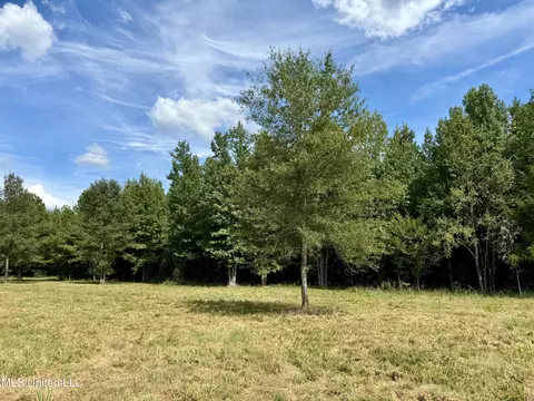 651 Petrified Forest Rd, Flora, MS 39071 photo 14