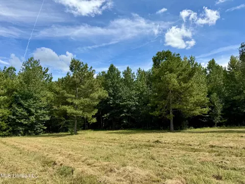 651 Petrified Forest Rd, Flora, MS 39071 photo 20