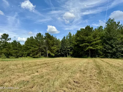 651 Petrified Forest Rd, Flora, MS 39071 photo 25