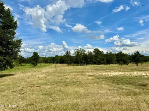651 Petrified Forest Rd, Flora, MS 39071 photo 7