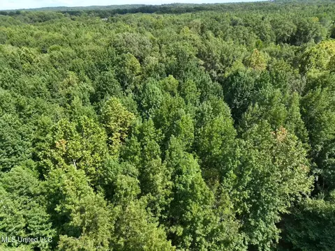 651 Petrified Forest Rd, Flora, MS 39071 photo 28
