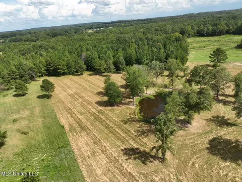 651 Petrified Forest Rd, Flora, MS 39071 photo 22