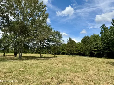 651 Petrified Forest Rd, Flora, MS 39071 photo 17