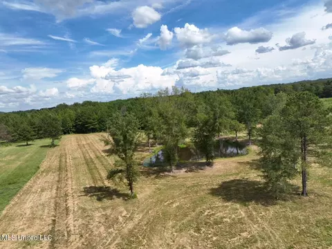 651 Petrified Forest Rd, Flora, MS 39071 photo 21