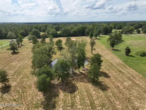 651 Petrified Forest Rd, Flora, MS 39071 photo 26