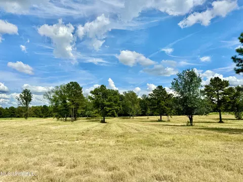 651 Petrified Forest Rd, Flora, MS 39071 photo 11