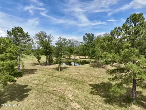651 Petrified Forest Rd, Flora, MS 39071 photo 4