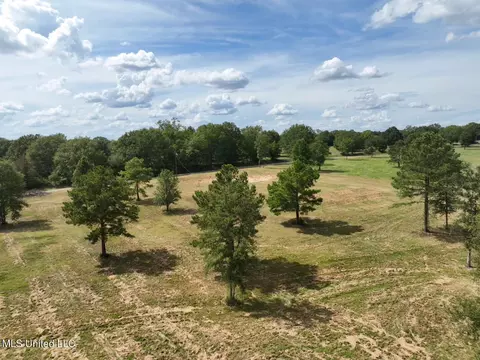 651 Petrified Forest Rd, Flora, MS 39071 photo 18
