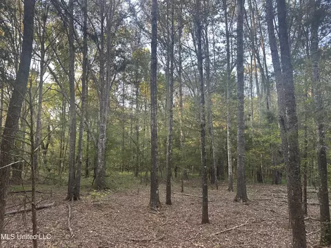 Windy Hill Drive, Flora, MS 39071 photo 8