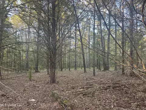 Windy Hill Drive, Flora, MS 39071 photo 4