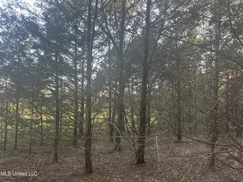 Windy Hill Drive, Flora, MS 39071 photo 6