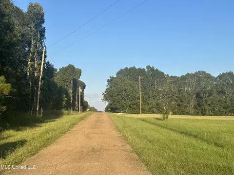 Windy Hill Drive, Flora, MS 39071 photo 3