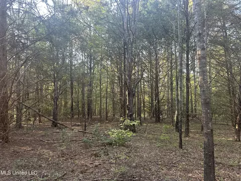 Windy Hill Drive, Flora, MS 39071 photo 7