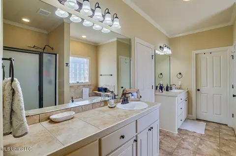 Bath - 511 Will Dr, Brandon, MS 39047 photo 1 of 3