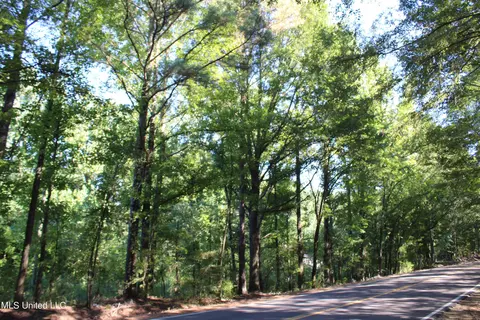 799 Rader Creek Rd, Sarah, MS 38665