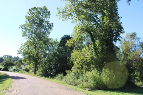 275 Strayhorn Lake Dr, Sarah, MS 38665