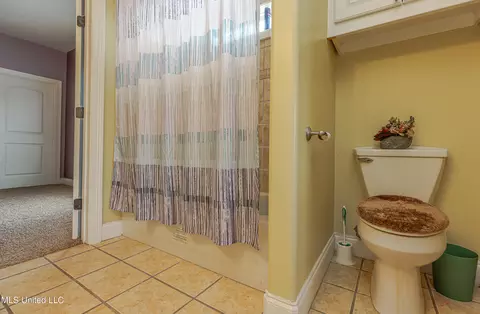 Bath - 144 Inez Ownes Dr, Byram, MS 39272 photo 5 of 6