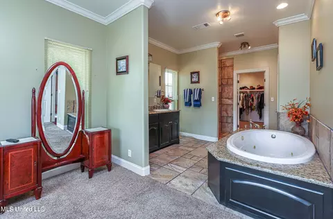 Bath - 144 Inez Ownes Dr, Byram, MS 39272 photo 6 of 6