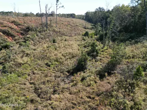 2054 County Rd 632, Quitman, MS 39355 photo 9